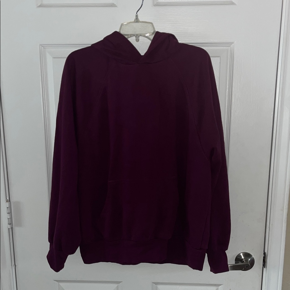 DSG Men's Deep Purple Hoodie Sweater